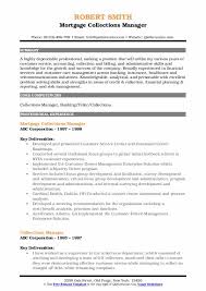collections manager resume samples