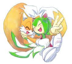 I actually like tails and cosmo shipping! 100 Tails X Cosmo Ideas In 2021 Cosmos Sonic Sonic The Hedgehog