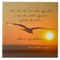 Look at the birds of the air; Freedom Bible Verse Bird Flying At Sunset Poster Zazzle Com