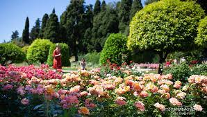 balade aux jardins de cimiez