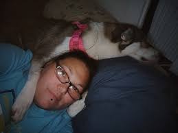 Husky found near Layton, Kaysville border