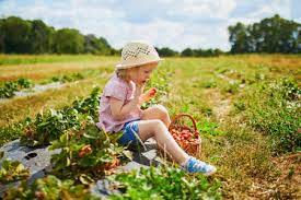 These crafts, games, and activities are sure to get the children's imagination going. Farming Activities Stock Photos And Images 123rf