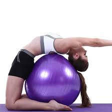 Yoga Ball Exercise Gymnastic Fitness Pilates Ball Balance Exercise Gym Fit Indoor Fitness Training Yoga Ball Yoga Ball Exercises Yoga Ball Gym Ball
