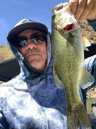 The Fjuka Fishing Bait Sweet Sensate it's really grown