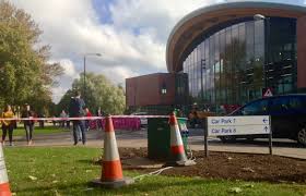 Traffic Cones, And Other Pathetic Things Everyone Steals As A Rite Of  Passage | The Daily Mash