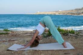 Check spelling or type a new query. Yoga Beginner Vinyasa Flow Triq Valletta Mosta Mst Malta 26 January 2021