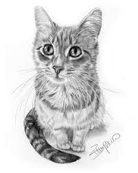 Pin On Pencil Portraits Of Cats