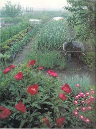 Photo By John Scanlon From The Organic Home Garden Larkwhistle Gardens Bruce Peninsula Ontario Cold Frame Beautiful Gardens Garden