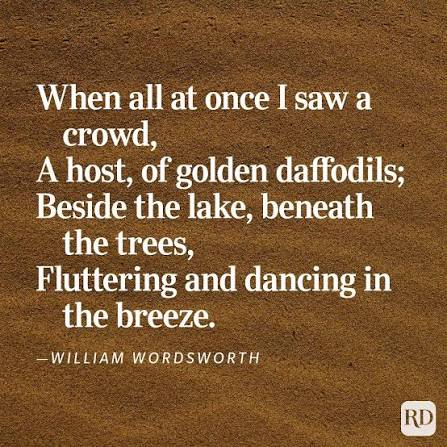 When it's impossible to express just how beautiful your surroundings are, look to poetry. 🌳 Find more nature poems here: https://trib.al/xbGzXpA