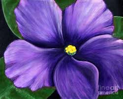 Purple African Violet By Barbara Griffin Violets Painting Violet Artwork Flower Painting