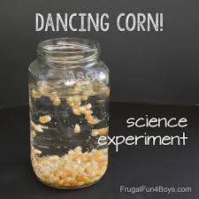 Dancing Corn Science Experiment - Frugal Fun For Boys and Girls