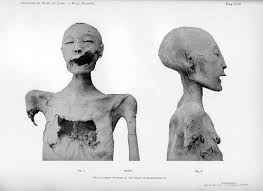 Résultat de recherche d'images pour "elongated skulls"