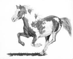 Royalty free equine clip art of a black and white wild mustang horse running forward towards the viewer. Pin By Hannah Palmer On My Inspiration Horse Drawings Horse Sketch Horse Drawing