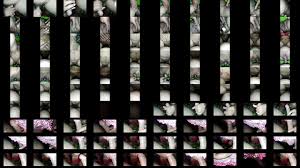 Viral Guru Mesum sama Muridnya - XNXX.COM