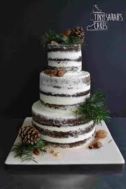 Image Result For Tiramisu Wedding Cake Christmas Wedding Cakes Winter Wedding Cake Simple Wedding Cake
