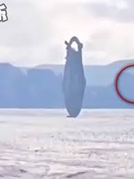 Ufo W Polsce 2024 | TikTok