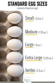 The Different Types Of Eggs Sizes Jessica Gavin Types Of Eggs Eggs Organic Eggs