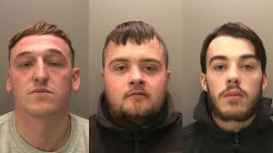 Trio banned from entering East Midlands with dog after deer found in  vehicle