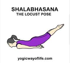 Shalabhasana Yoga Poses Yoga Asanas Yoga Poses Advanced