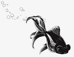 Aesthetic Anime Drawings Black And White Aesthetic Alternative Animal Anime Animeblackandwhite Anime Grey Black And White Aesthetic Black And White Twitter Header Aesthetic