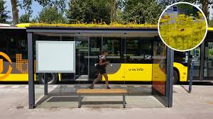 This Dutch City Has Transformed Its Bus Stops Into Bee Stops Bus Stop City Bus