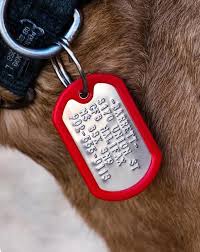 Check out our custom pet tag selection for the very best in unique or custom, handmade pieces from our pet id tags shops. Dog Id Tag Dog Tag For Dog Personalized Pet Tag Pet Id Tag Etsy Dog Id Tags Dog Tags Dog Id