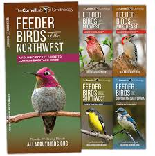 Waterford Press All About Birds Pocket Guides Bird Id Series