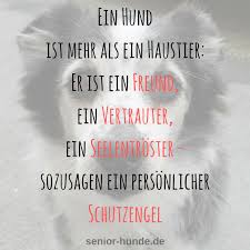 Oh Ja Ein Hund Ist Vieeeel Mehr Als Ein Haustier Hundespruche Trauer Um Hund Hund Zitat