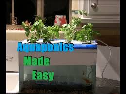 Enter your model number to make sure this fits. Cheap And Easy 35 Aquaponics Hydroponics Setup Youtube