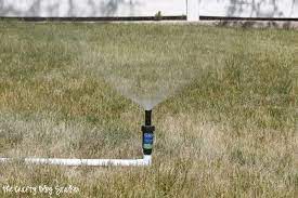 Get high performance diy water sprinkler at affordable prices and discounts. Diy Above Ground Sprinkler System Crafty Blog Stalker