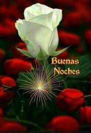 Postales De Buenas Noches Https Compartirimagenes Net Postales De Buenas Noches 52 Buenas Noches Frases Postales De Buenas Noches Tarjetas De Buenas Noches