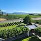 Marlborough Wine Tour: Visit 4 Top Wineries & More event image
