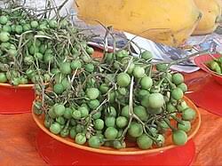 Image result for Solanum torvum