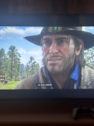 I hired Sadie as a gunslinger so that Arthur wouldn't be out wandering  alone 🤠