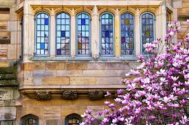 It has a total undergraduate yale university, located in new haven, connecticut, is known for its excellent drama and music programs. New Haven In Pictures 18 Beautiful Places To Photograph Planetware