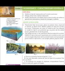 10000+ résultats pour « medii de viata clasa ii ». VieÈ›uitoarele È™i Mediul Lor De ViaÈ›Äƒ Ecosistemul