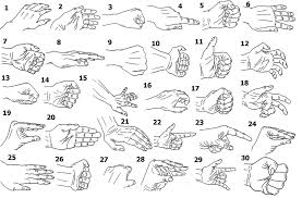 Here, i've superimposed simple oblongs and a few small ovals over the photo to represent the main shapes. 30 Different Hand Positions To Draw Simple To Sparkle