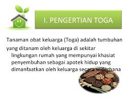 Maybe you would like to learn more about one of these? Ppt Tanaman Obat Keluarga Toga