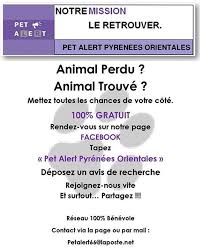 Réseau vigilance chien perdu trouvé sur facebook canada pet alert réseaux sociaux pert alerte sos. Pet Alert 66 Une Page Facebook Pour Retrouver Votre Animal Perdu Le Journal Catalan