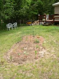 Learning to love heat tolerant annuals. My Favorite Gardening Blogs New England S Narrow Road
