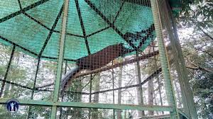 Taman margasatwa dan budaya kinantan atau kebun binatang bukittinggi adalah salah satu kebun binatang di pulau sumatera, yang terletak di atas bukit cubadak bungkuak bukittinggi, provinsi sumatera barat, indonesia.taman marga satwa dan budaya kinantan ini juga merupakan salah satu kebun binatang tertua yang ada di indonesia dengan koleksi hewan terlengkap di pulau sumatera. Indonesia