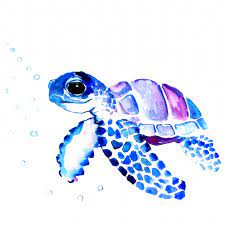 Sea Turtle And Jellyfish Acrylic Box By Davidwentworthart 4 X 4 X 3 Drawings Sea Turtle Art Turtle Painting Turtle Art