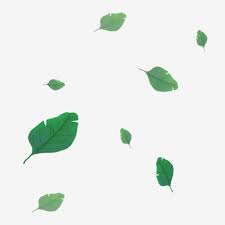 Kumpulan foto pemandangan alam ini bisa dijadikan contoh meggambar, dijadikan koleksi pribadi atau digunakan sebagai wallpaper. Gambar Ilustrasi Dekorasi Daun Yang Indah Daun Indah Daun Hijau Daun Indah Png Transparan Clipart Dan File Psd Untuk Unduh Gratis