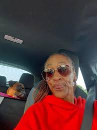 Boxer's vet check up in Wisconsin