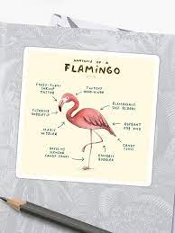 Anatomy Of A Flamingo Sticker By Sophie Corrigan In 2020 Flamingo Anatomy Pink Flamingos