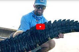 Blacktiph Catches Boatload Of Alligators While Hanging With Commercial Hunting Operation Alligator Hunting Alligator Hunting Videos