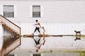 Pilot OK after crash landing