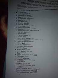 Studiaza la zurih, apoi lucreaza la. Precizati Valoarea Morfologica A Cuvintelor Subliniate In Exemplele De Mai Jos Urgent Dau 55 Puncte Brainly Ro