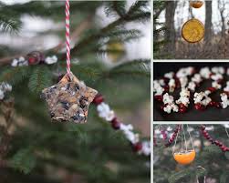 Outdoor beach christmas decorations diy for kids. Decorating An Outdoor Edible Tree For The Animals Wilder Child Outdoor Christmas Tree Outdoor Christmas Tree Decorations Christmas Decorations Tree
