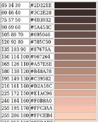 Rgb Values For Different Human Skin Color Tones Download